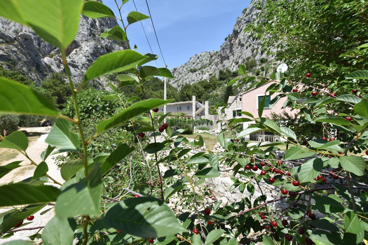 Apartment Petea Omiš Dış mekan fotoğraf