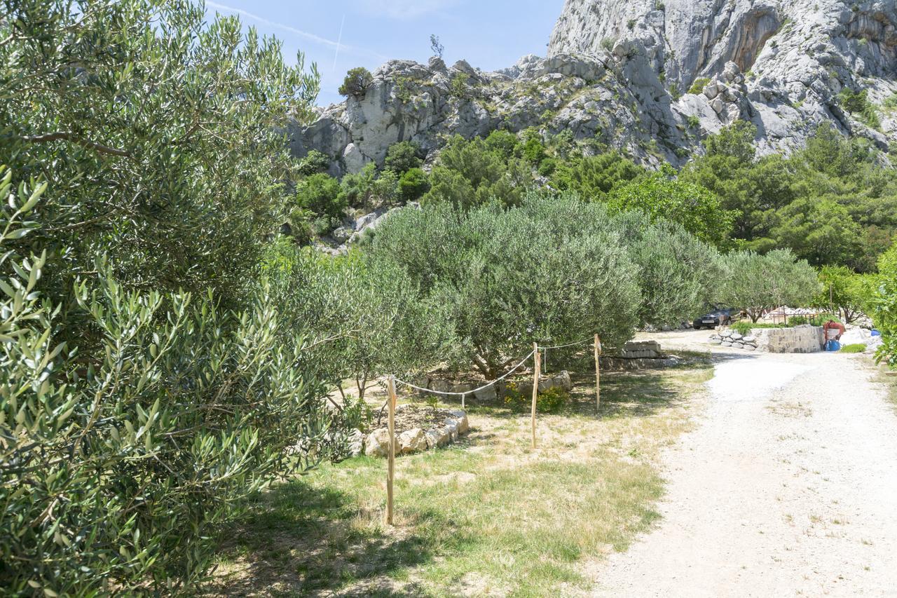 Apartment Petea Omiš Dış mekan fotoğraf